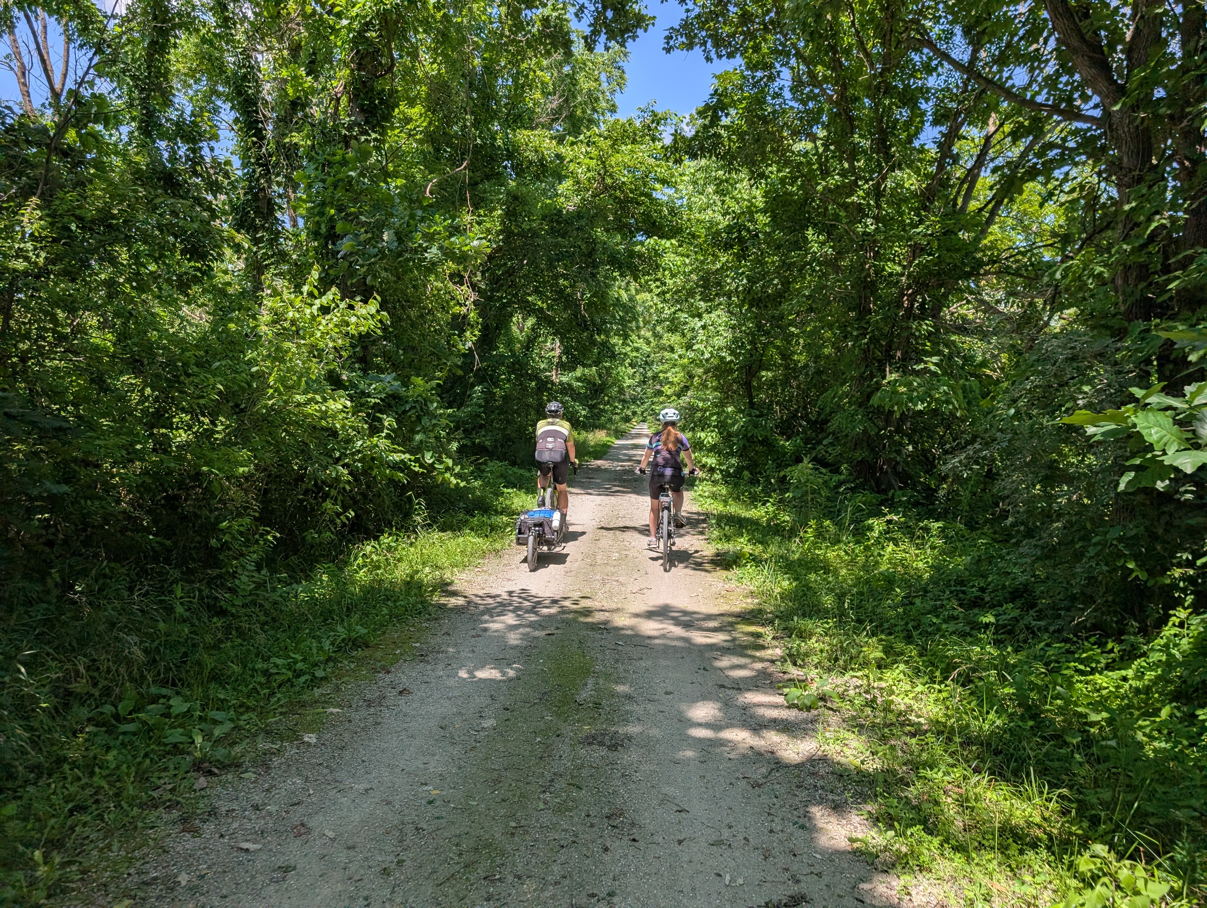 PXL 20250619 194327859