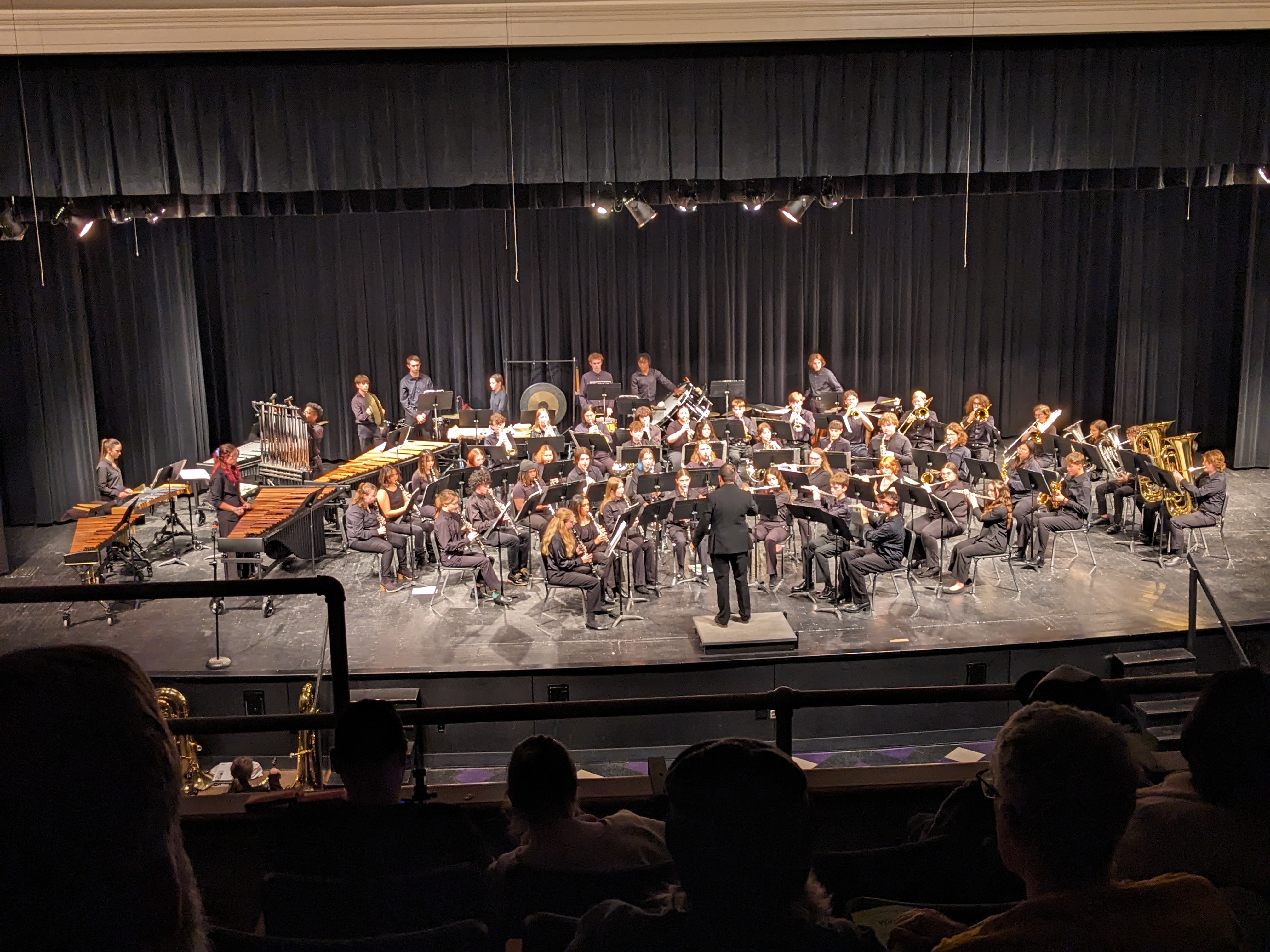 PXL 20241211 013030093