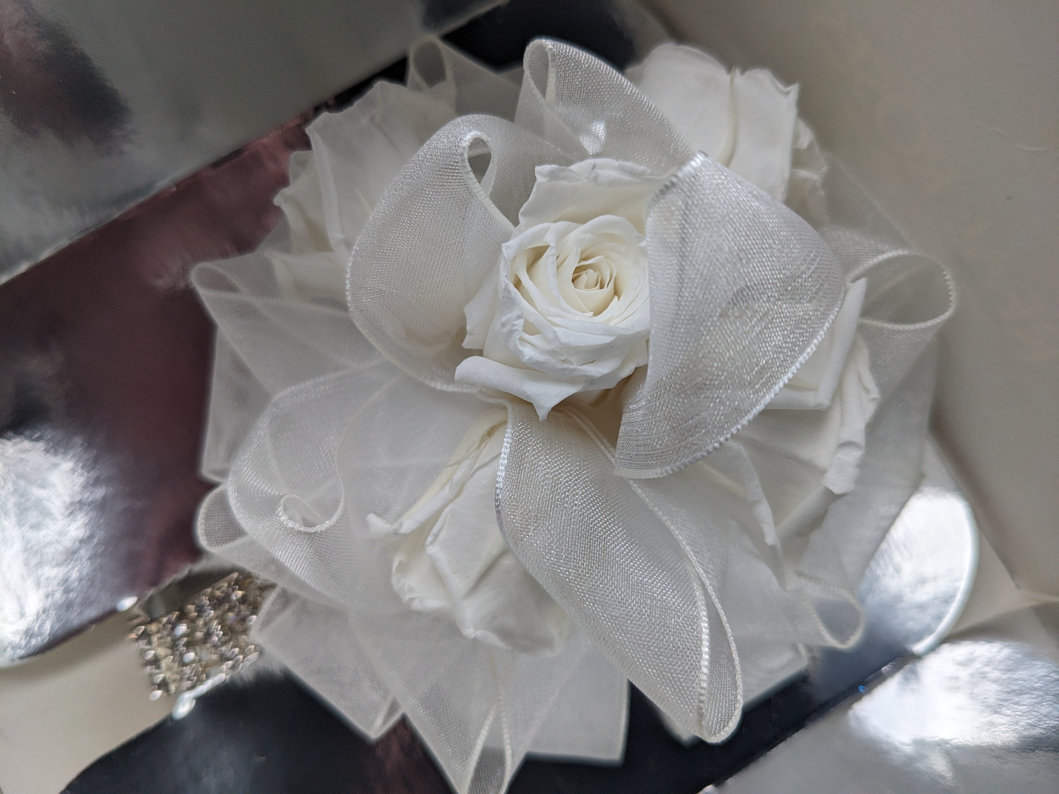 PXL 20241025 133627675