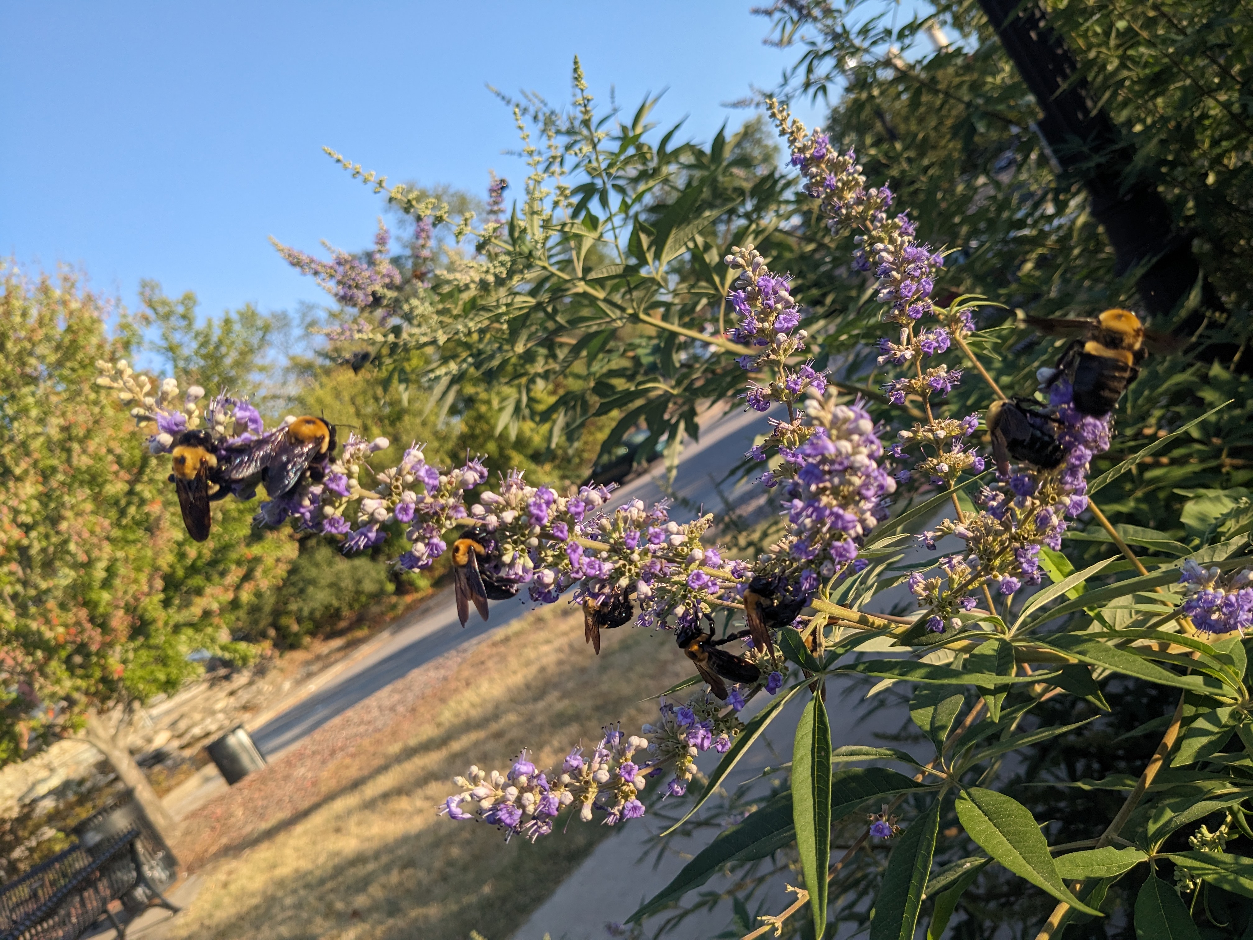 PXL 20231002 224207578