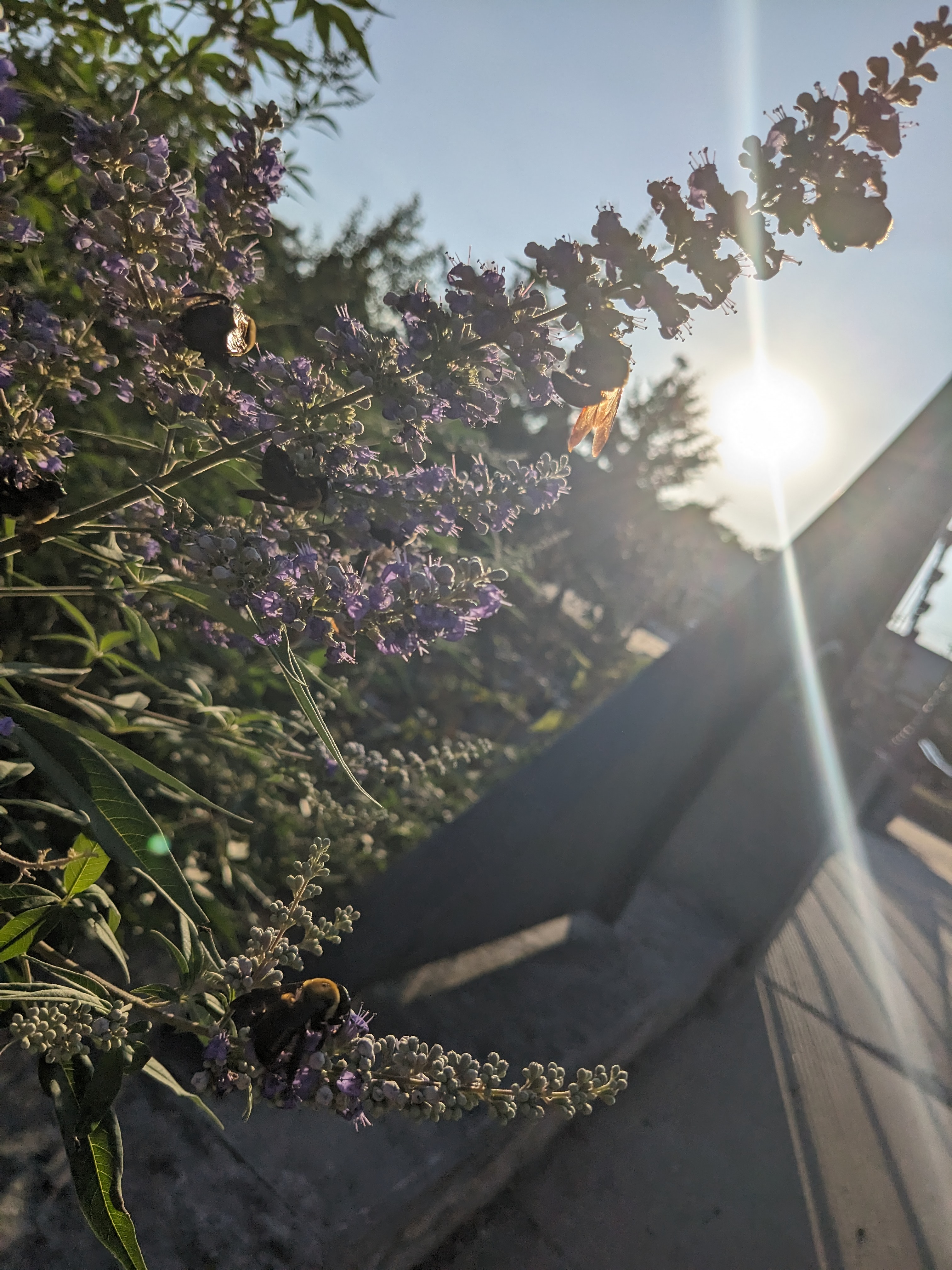 PXL 20231002 224213647