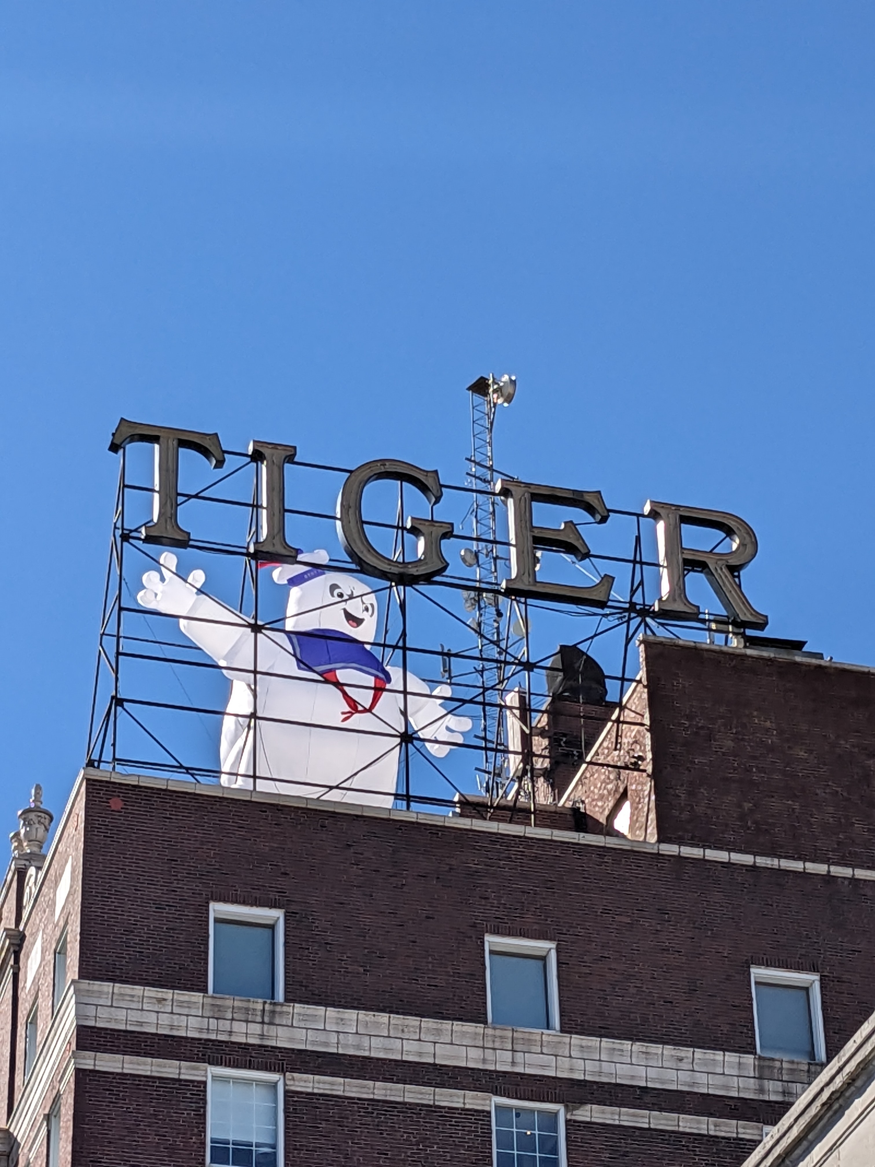 PXL 20231021 155328087