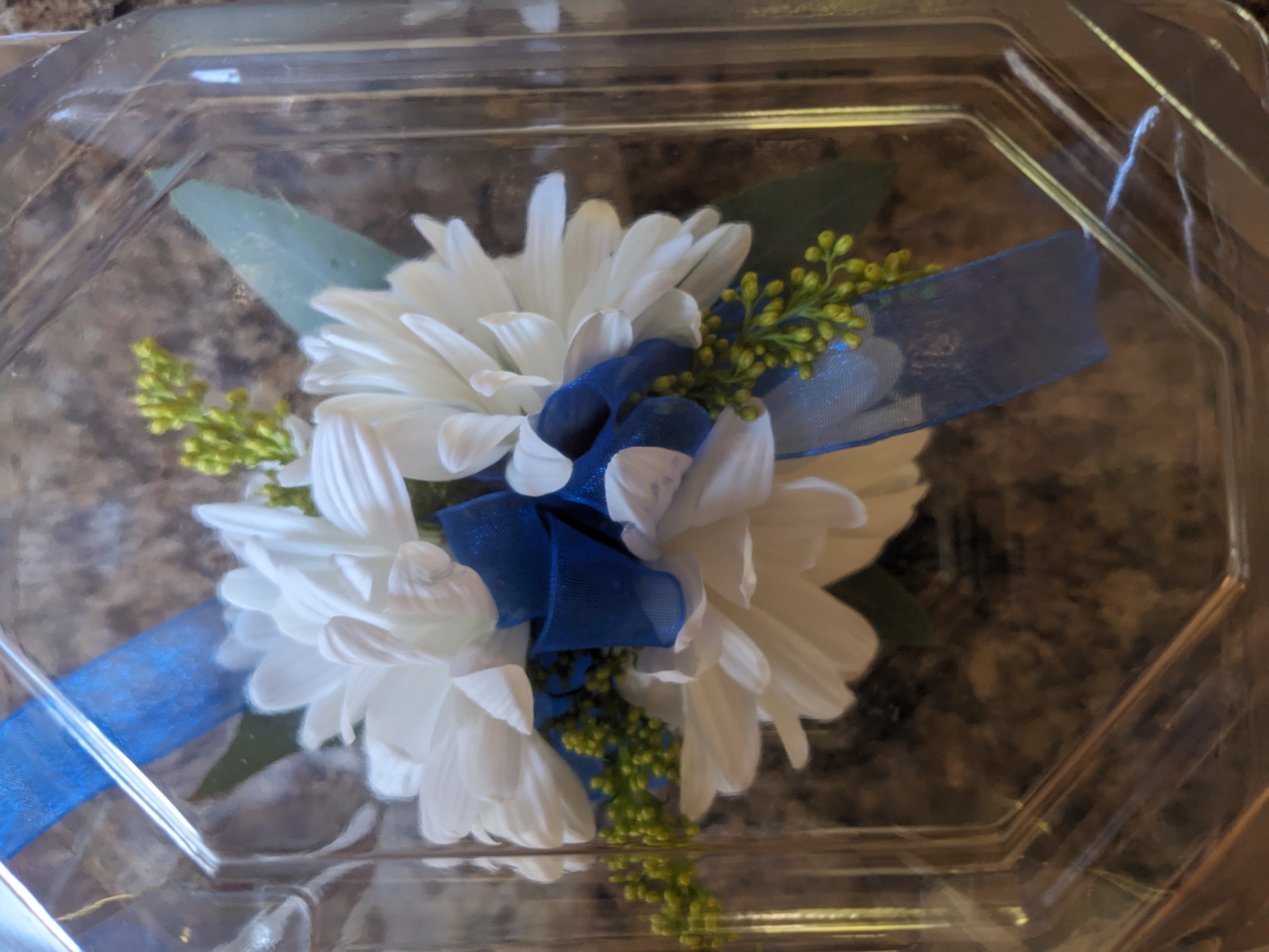 PXL 20231021 170514290