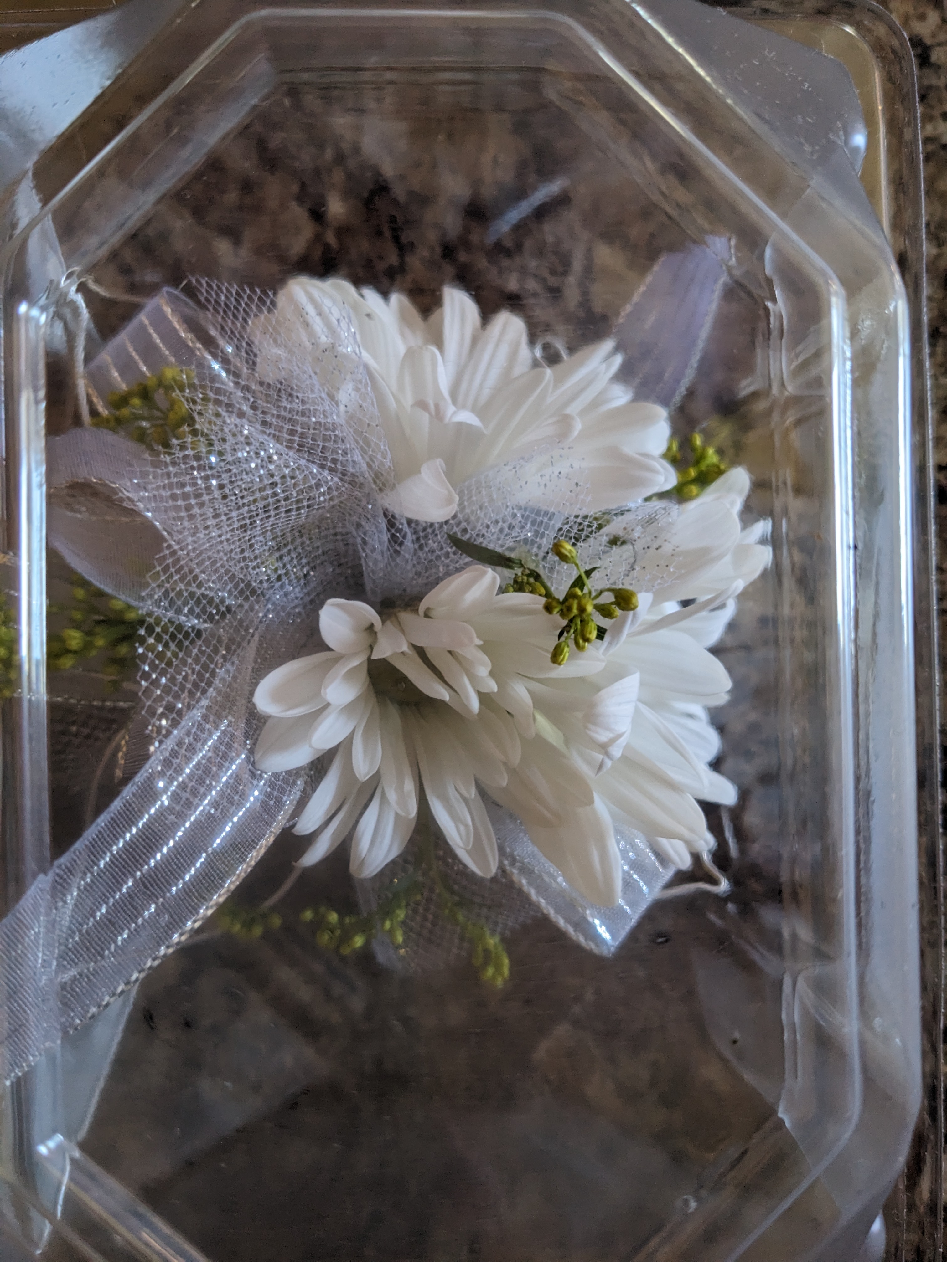 PXL 20231021 171301569