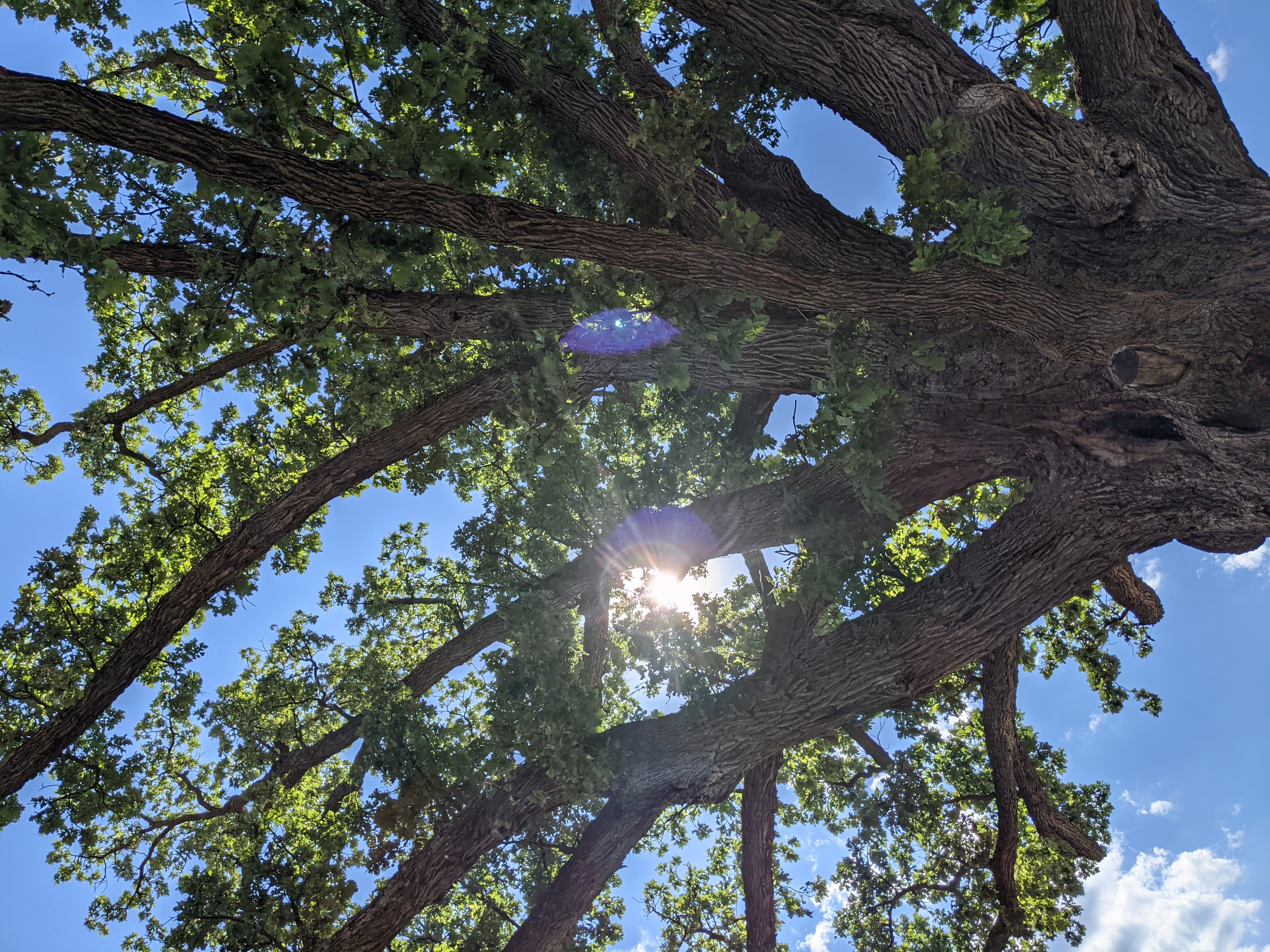 PXL 20210604 211921029