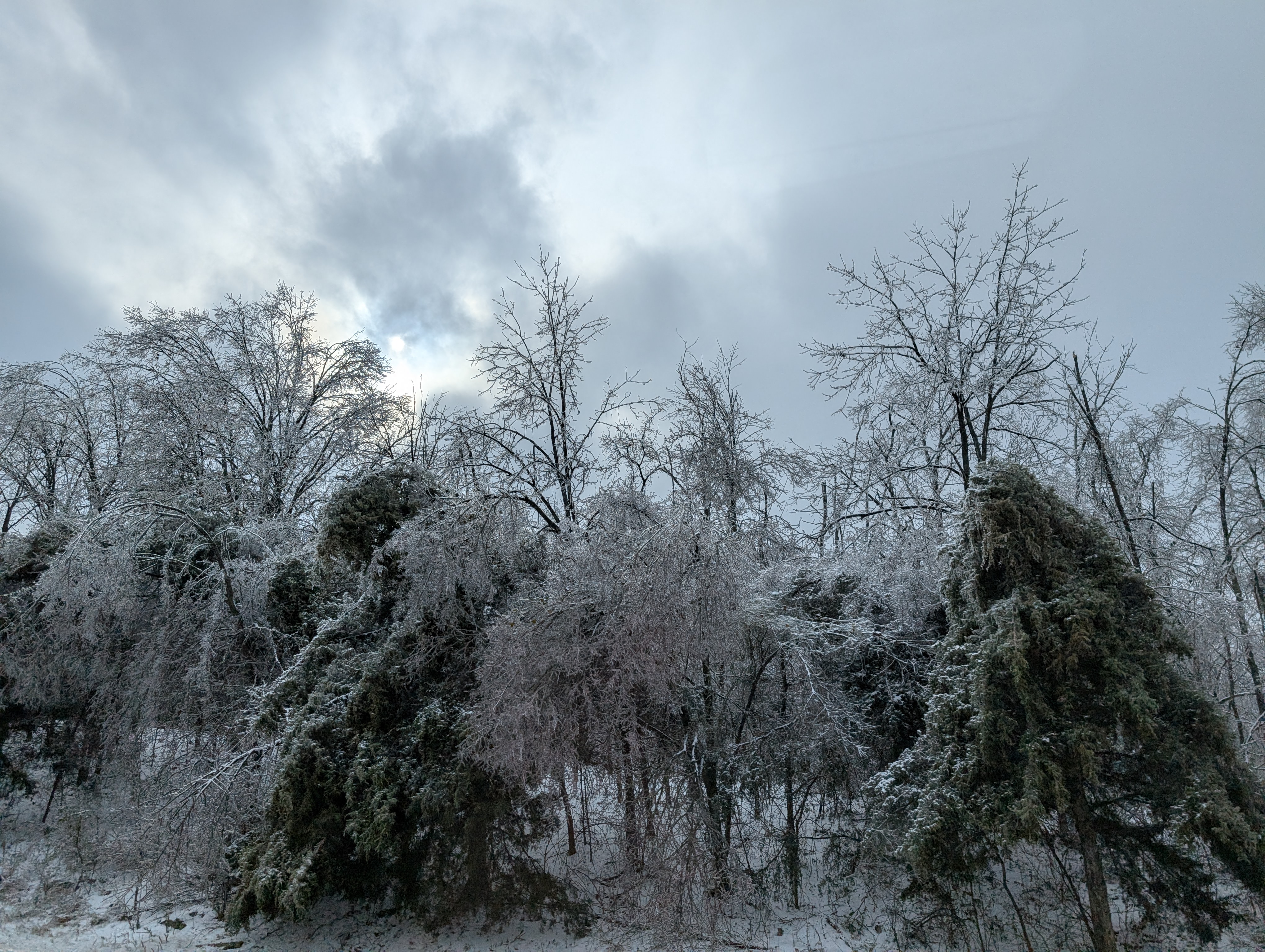 PXL 20250109 192009538