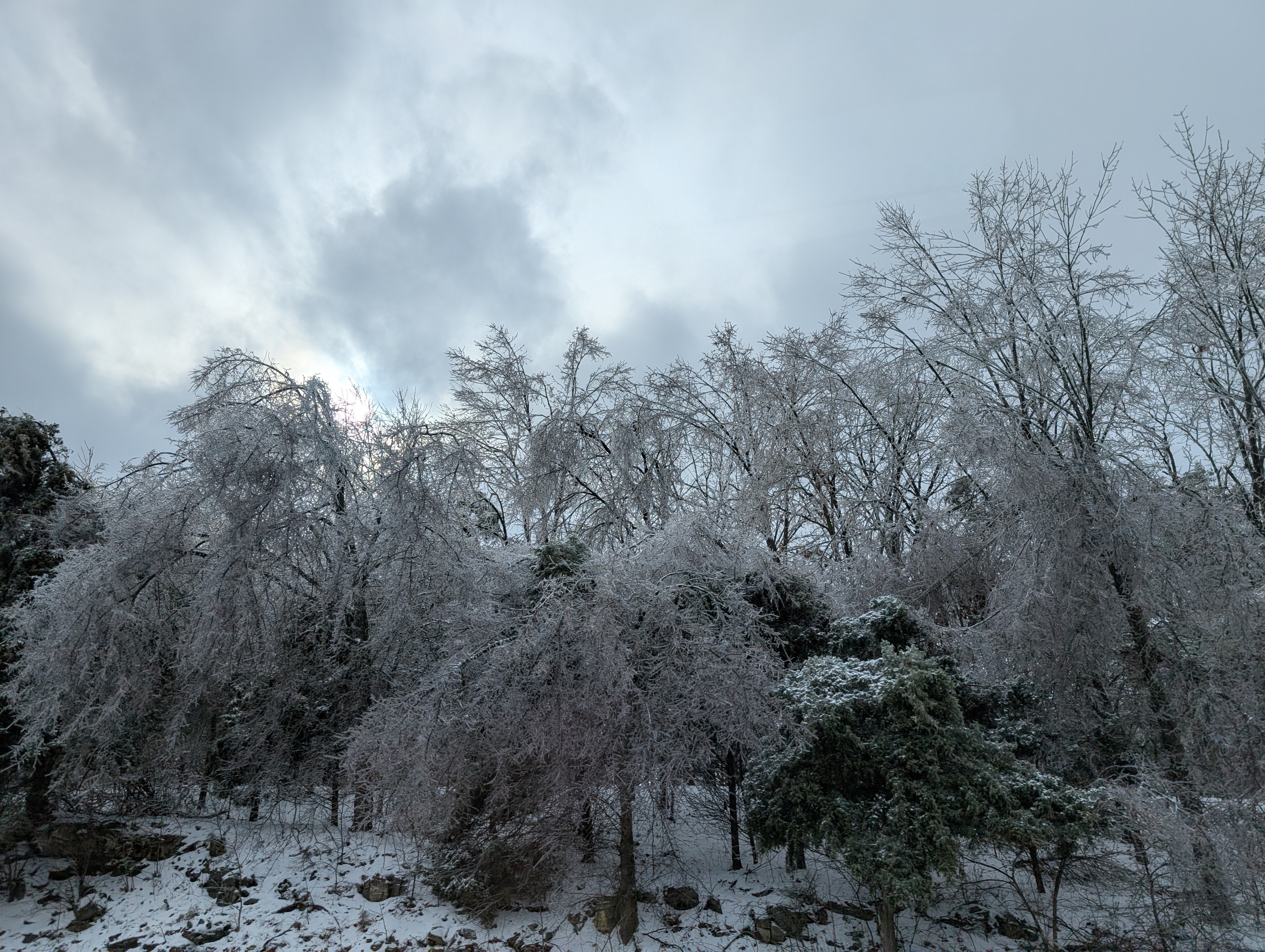 PXL 20250109 192011324