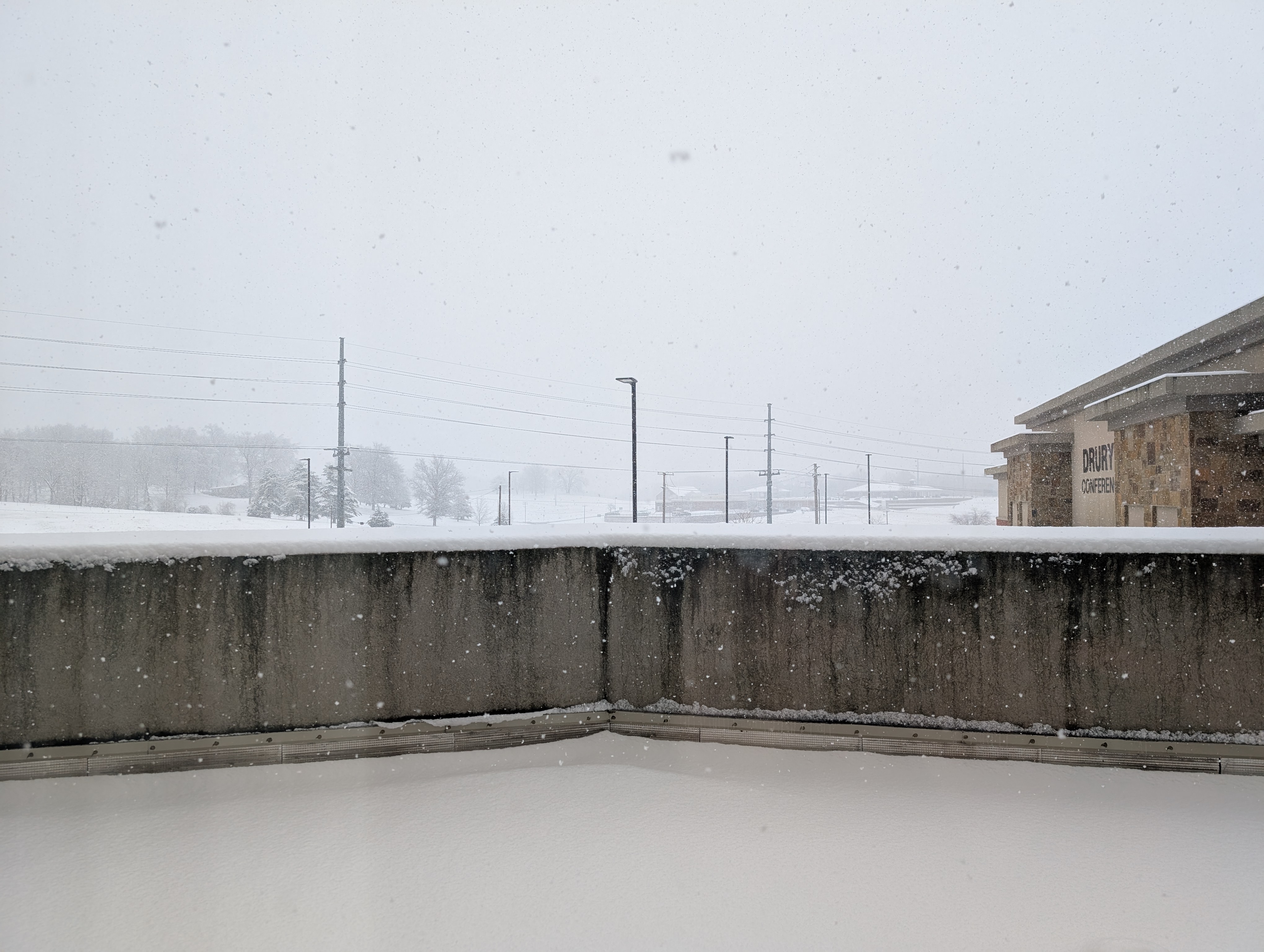 PXL 20250110 173748910