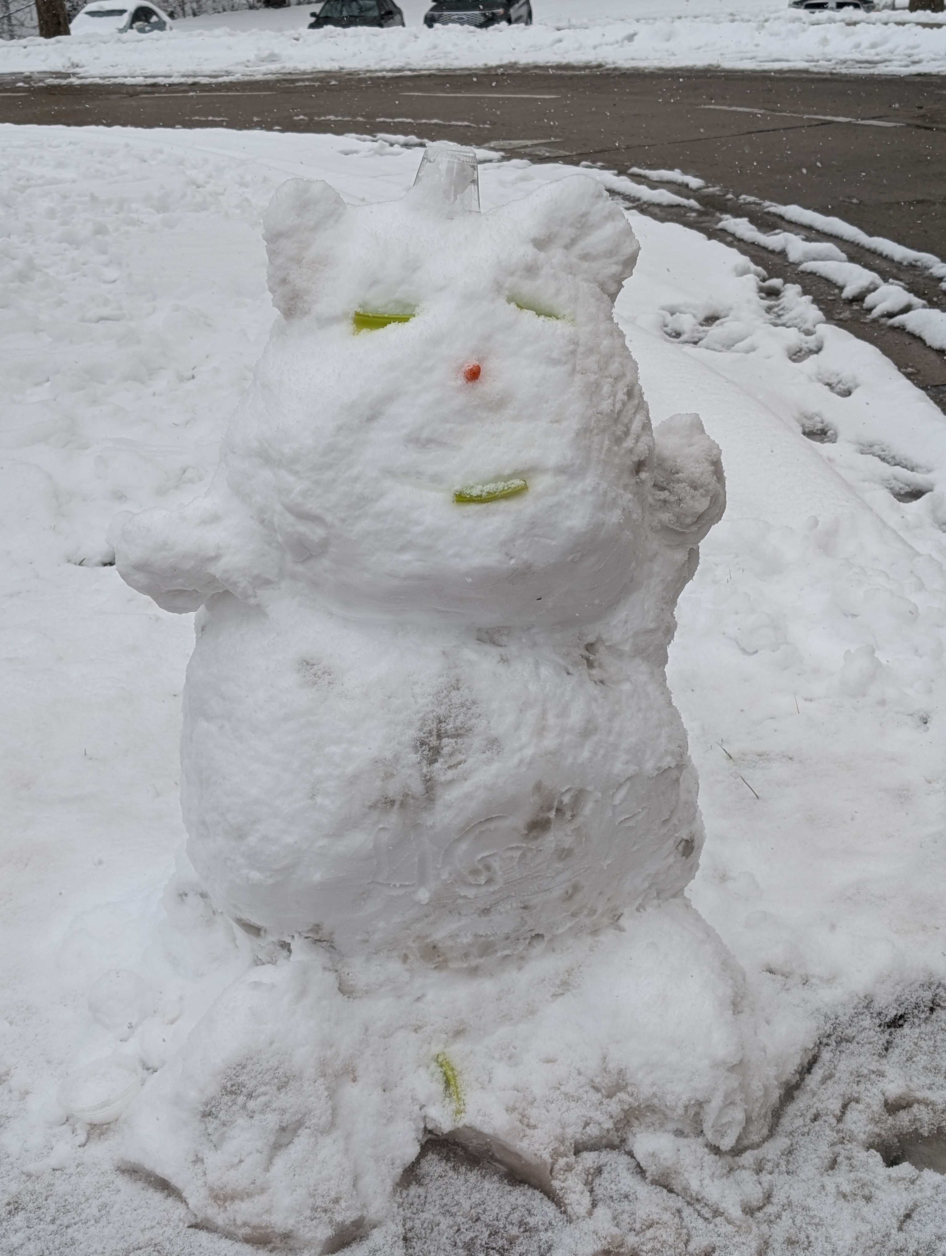 PXL 20250110 210022499