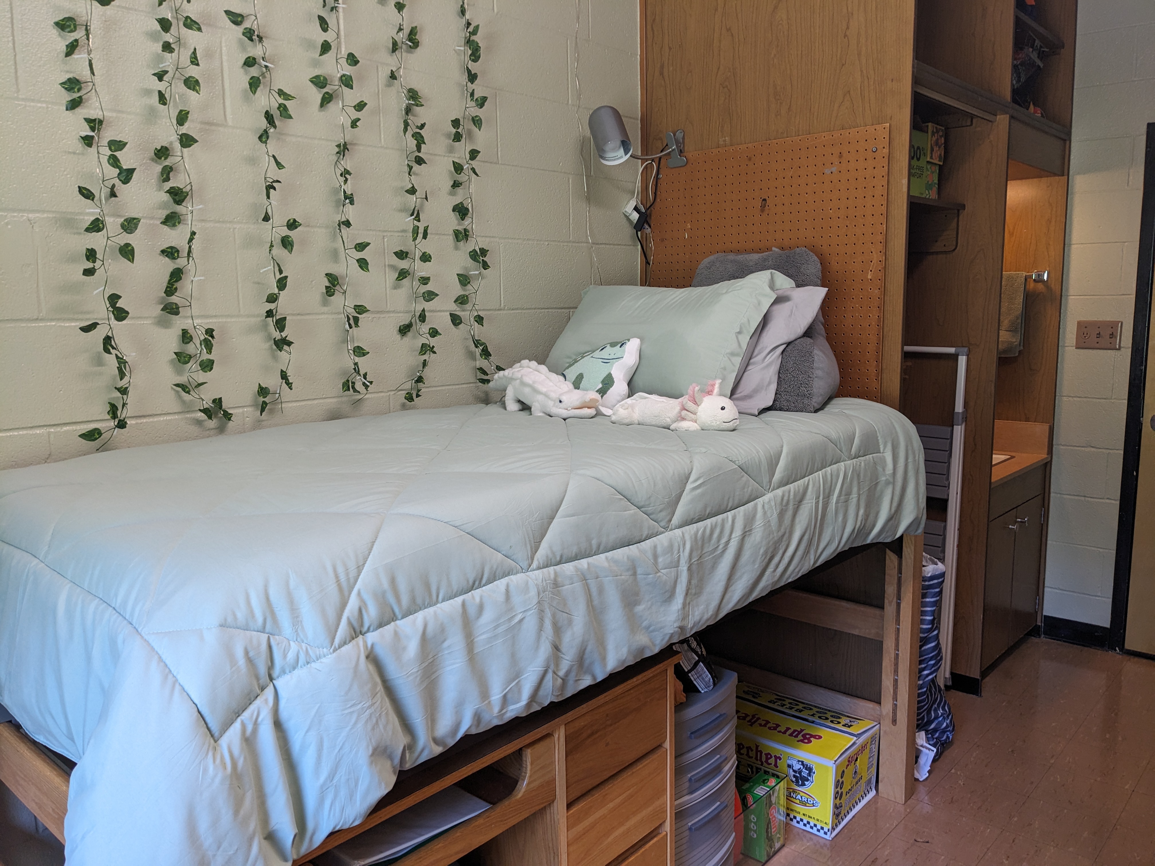 PXL 20240822 174817498