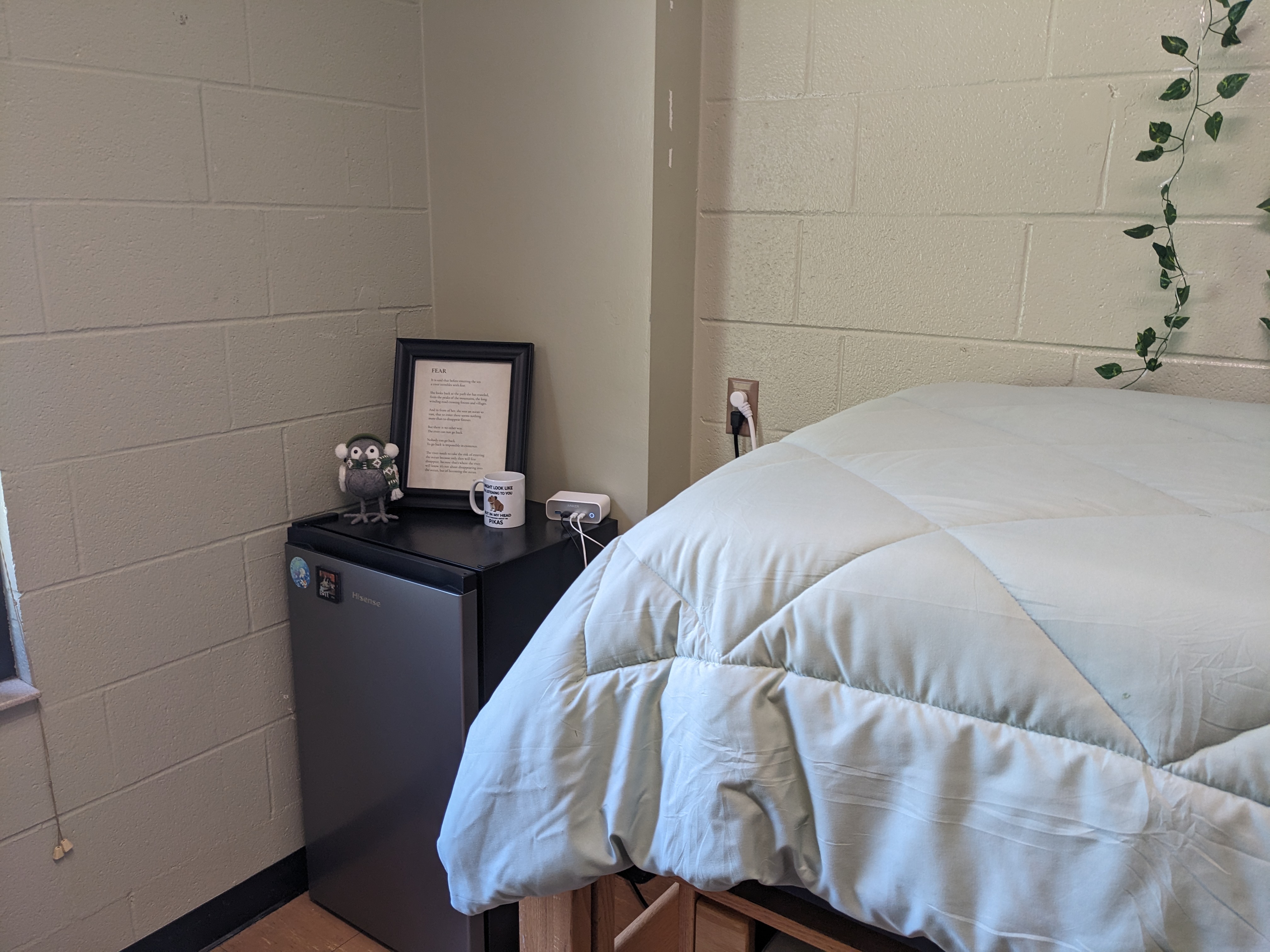 PXL 20240822 175215764