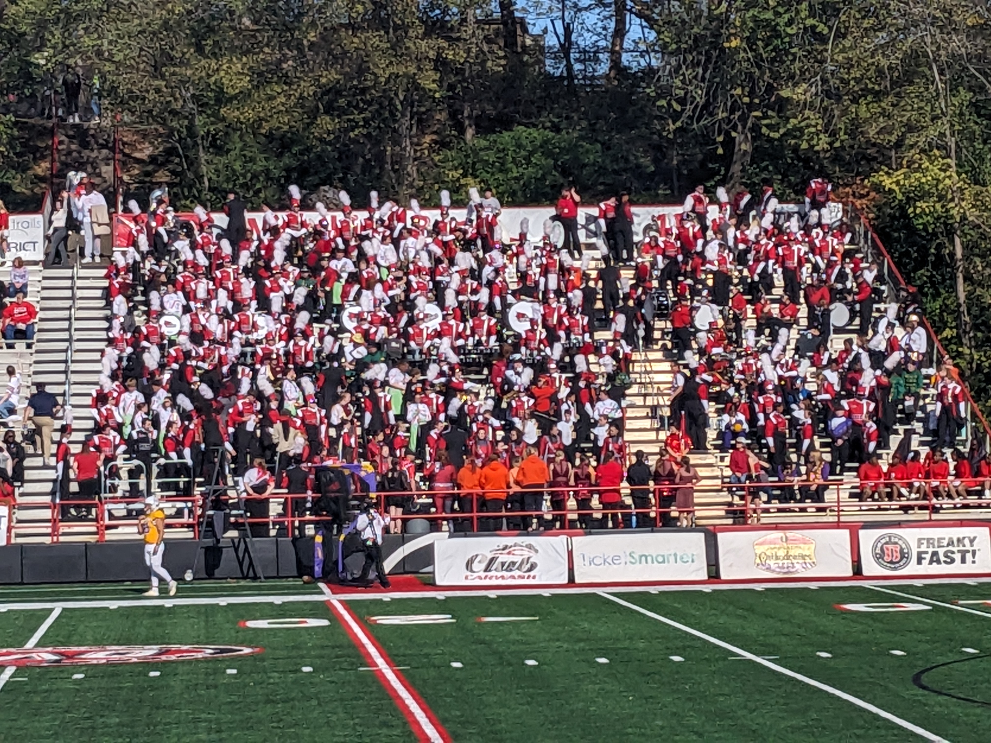 PXL 20241116 190359896