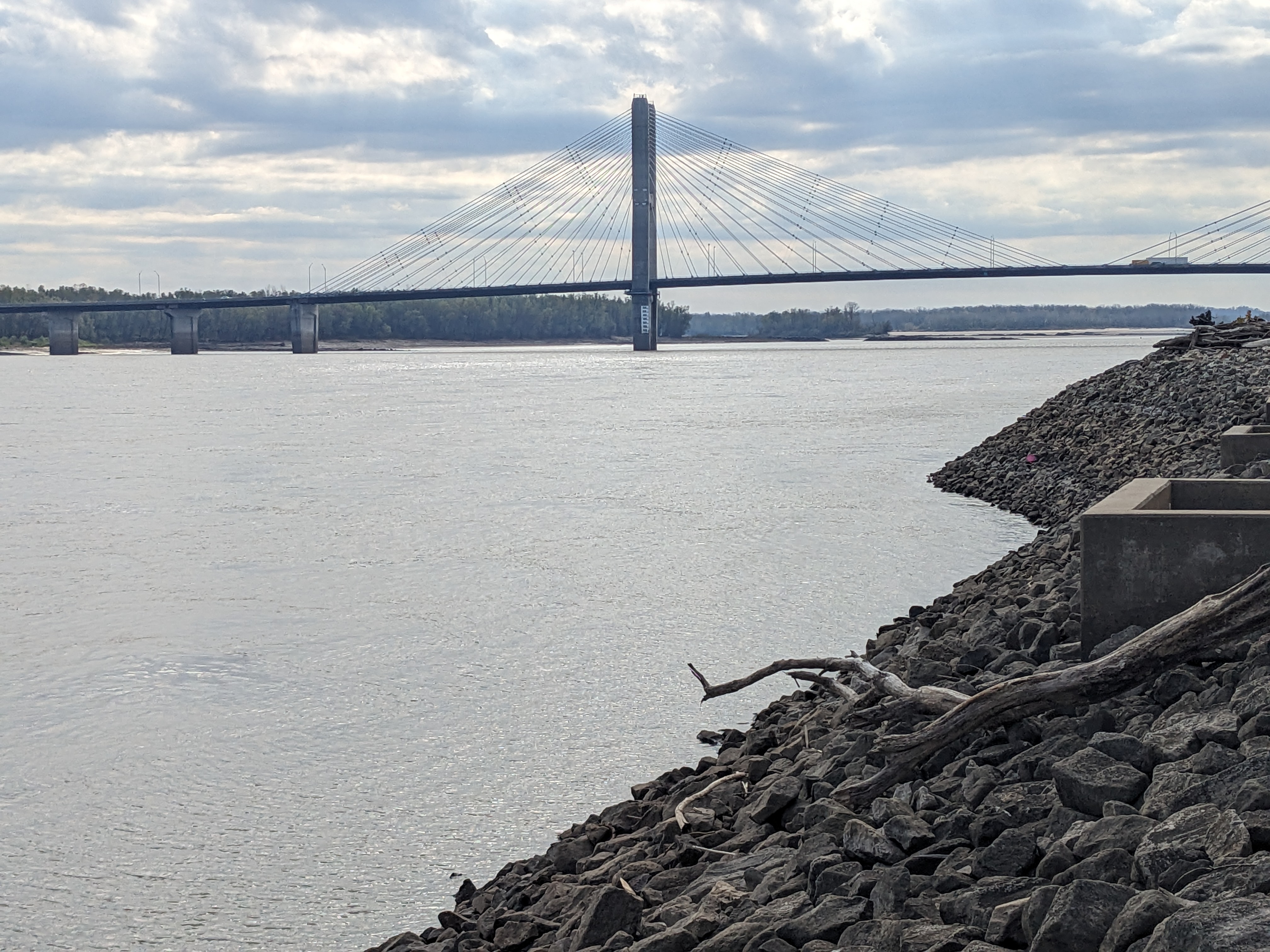 PXL 20241117 170451952