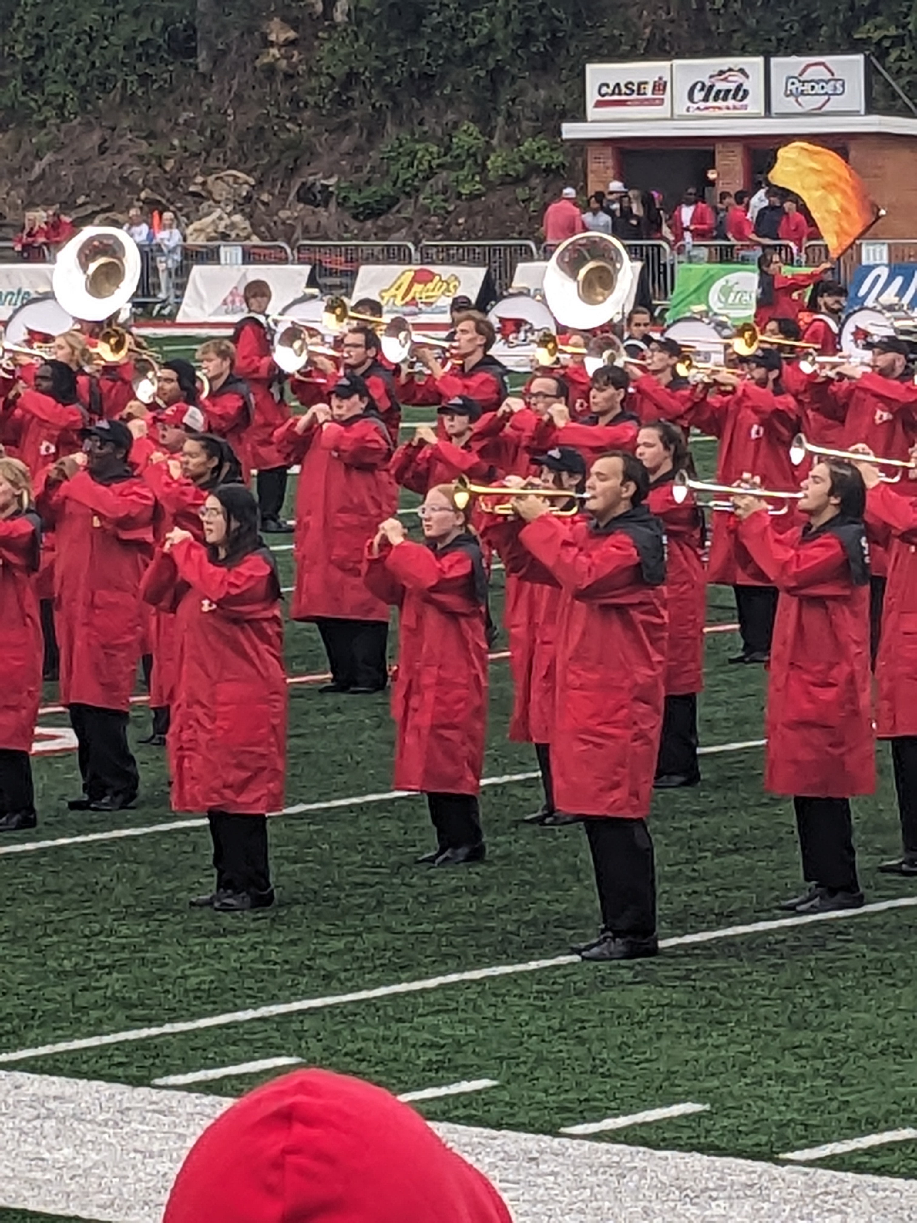 PXL 20240928 212733764