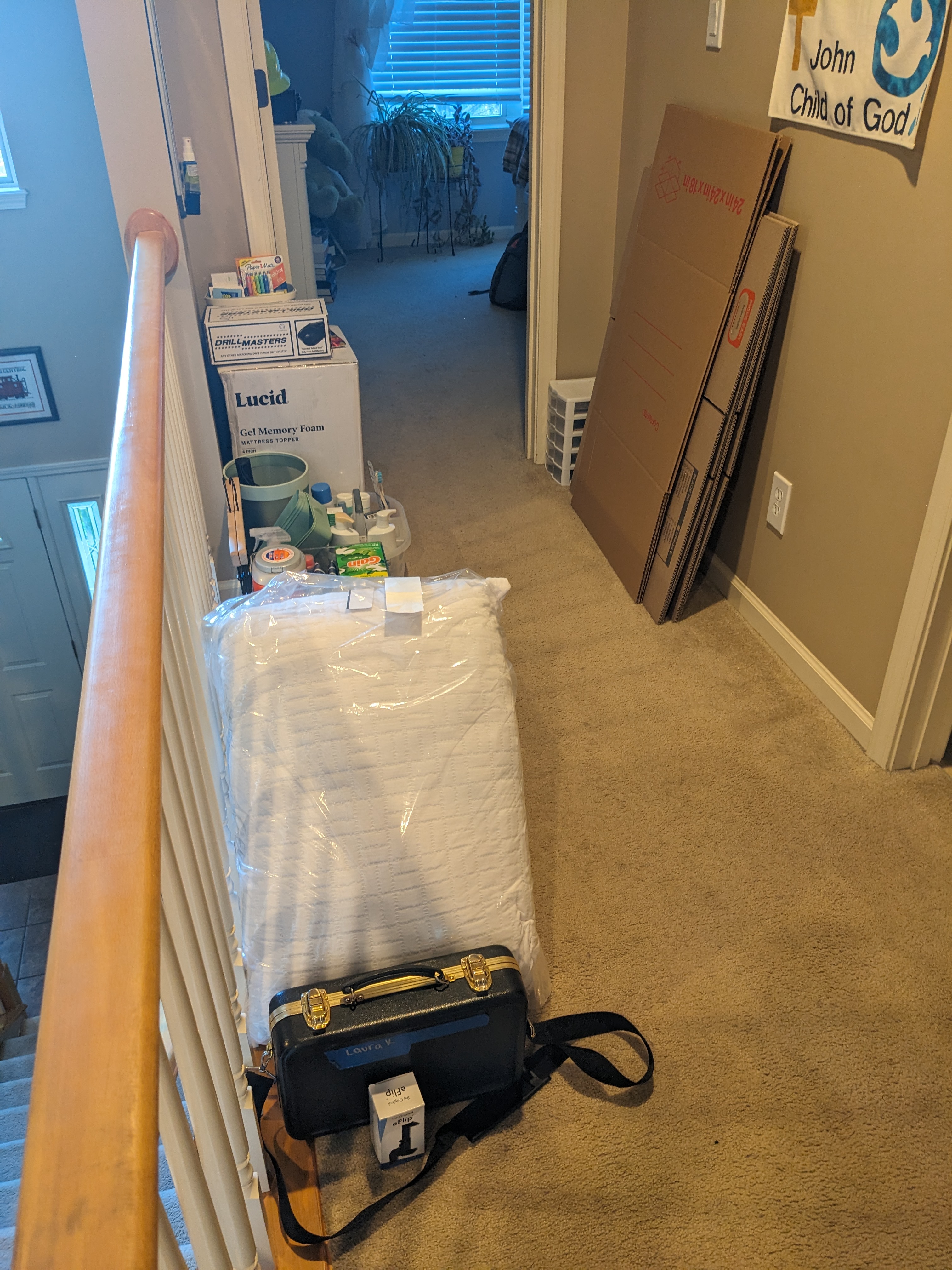 PXL 20240807 234012061