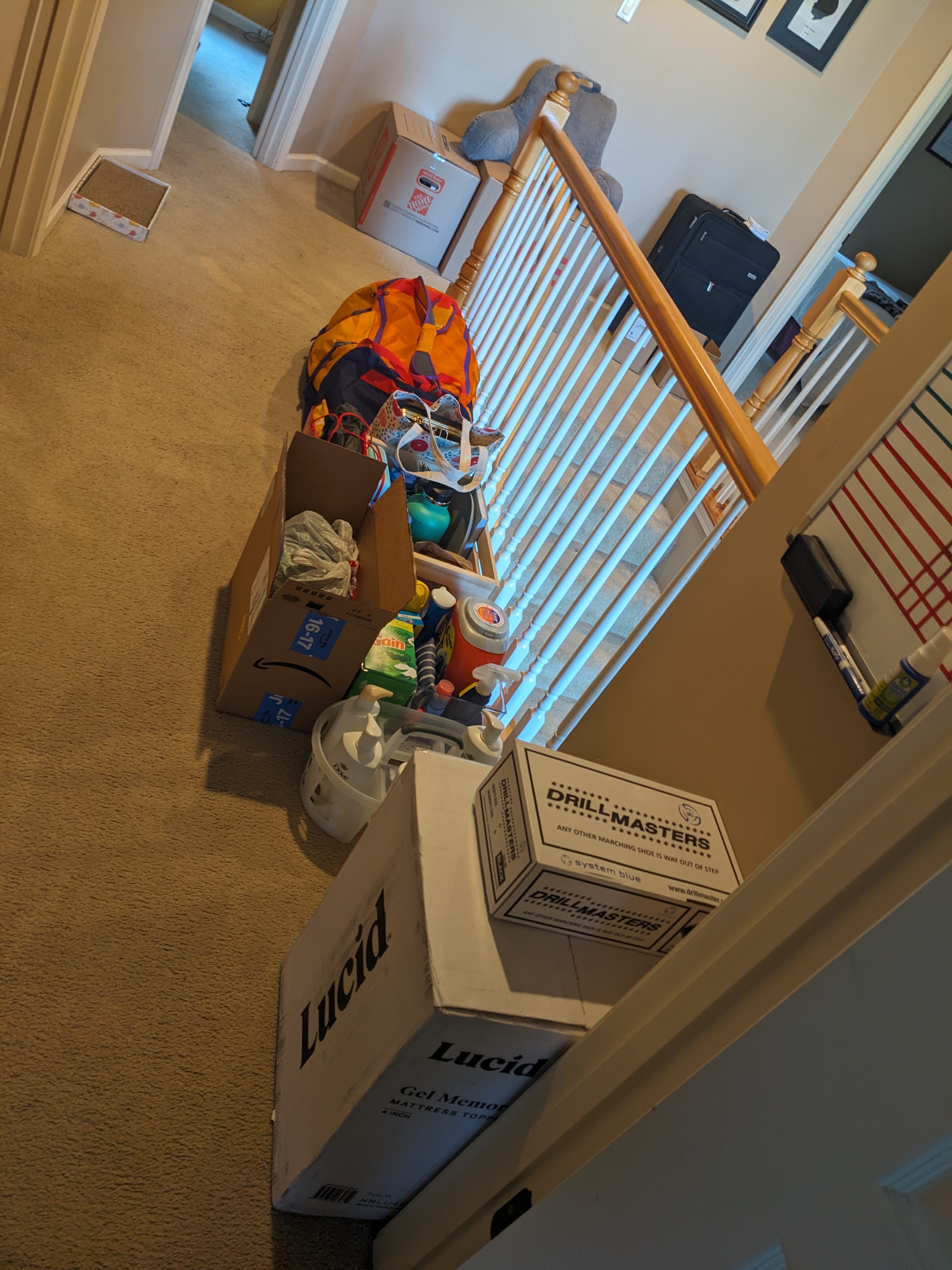 PXL 20240808 223744818