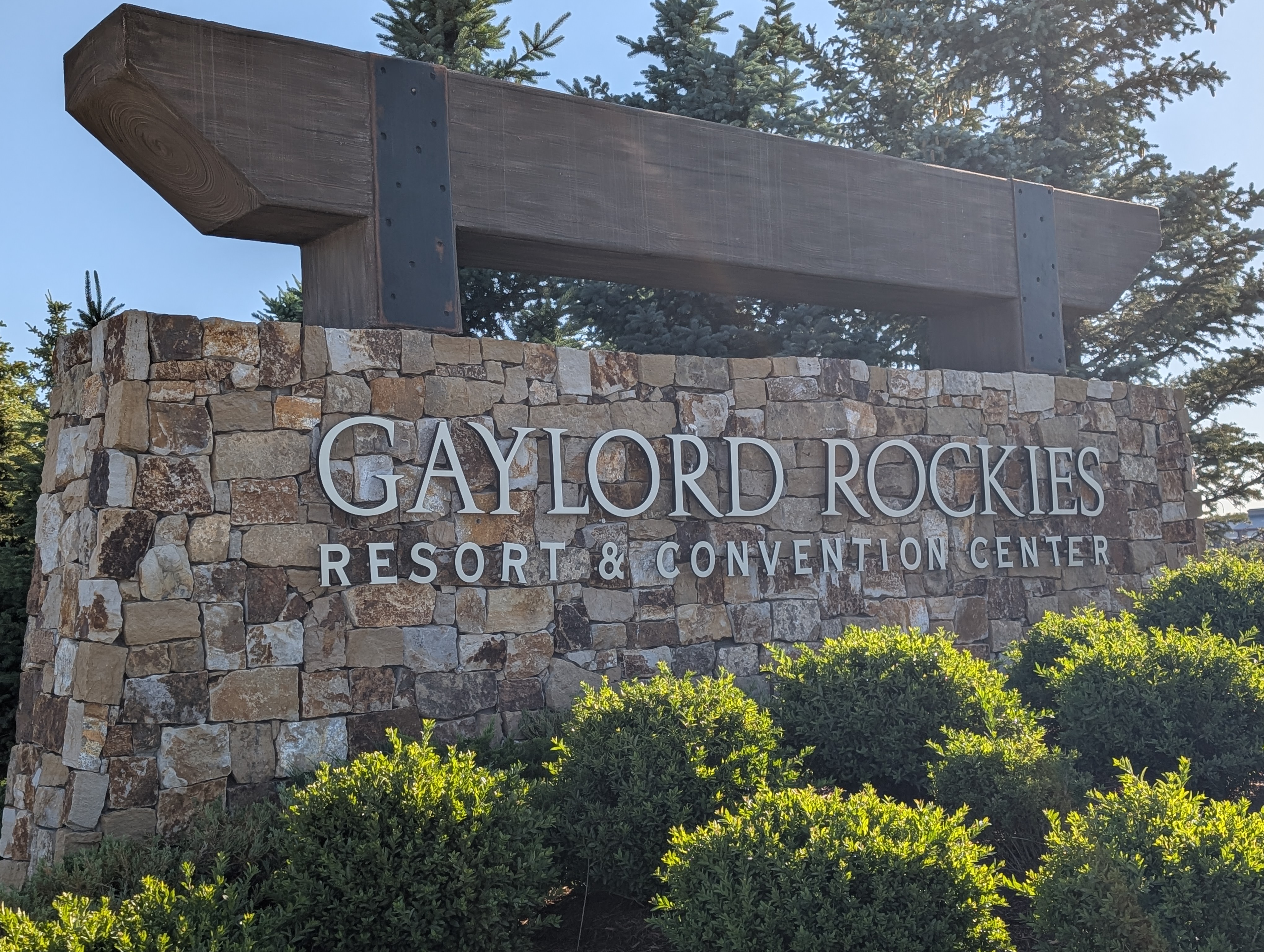 PXL 20250626 134947950