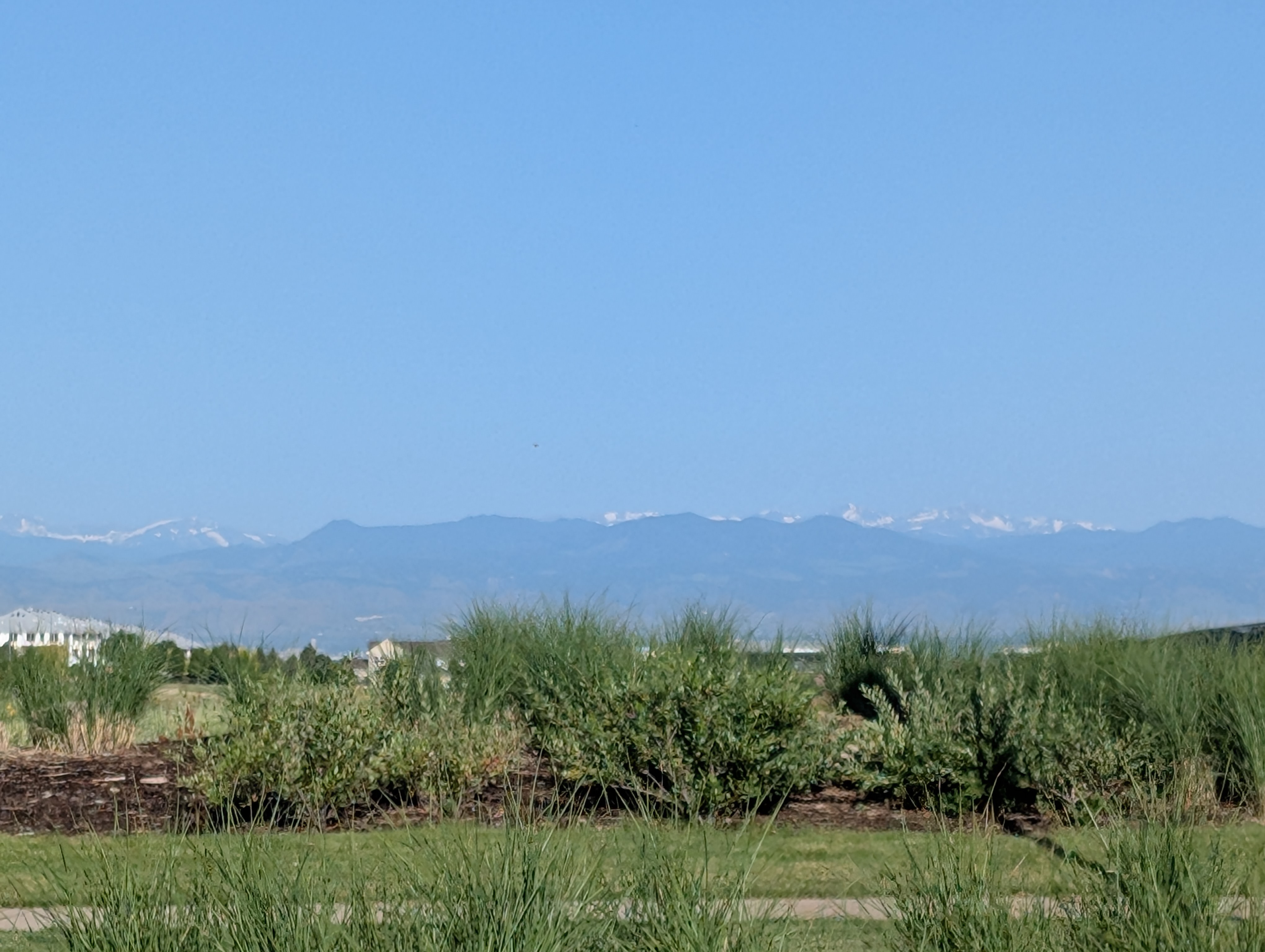 PXL 20250626 135103493