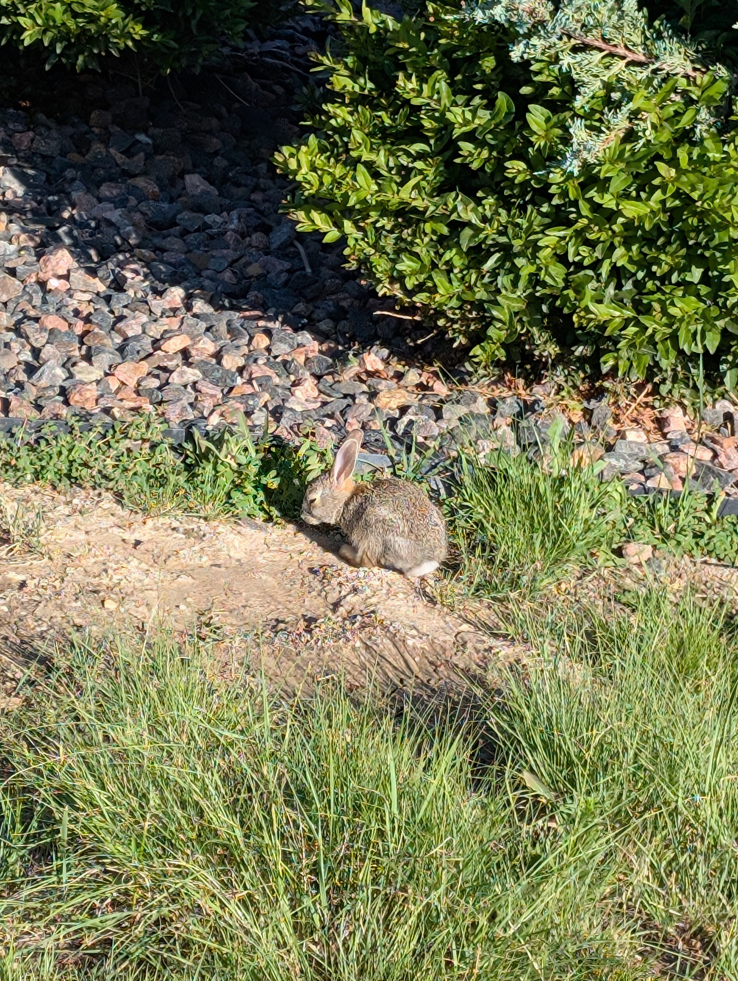 PXL 20250626 140745312