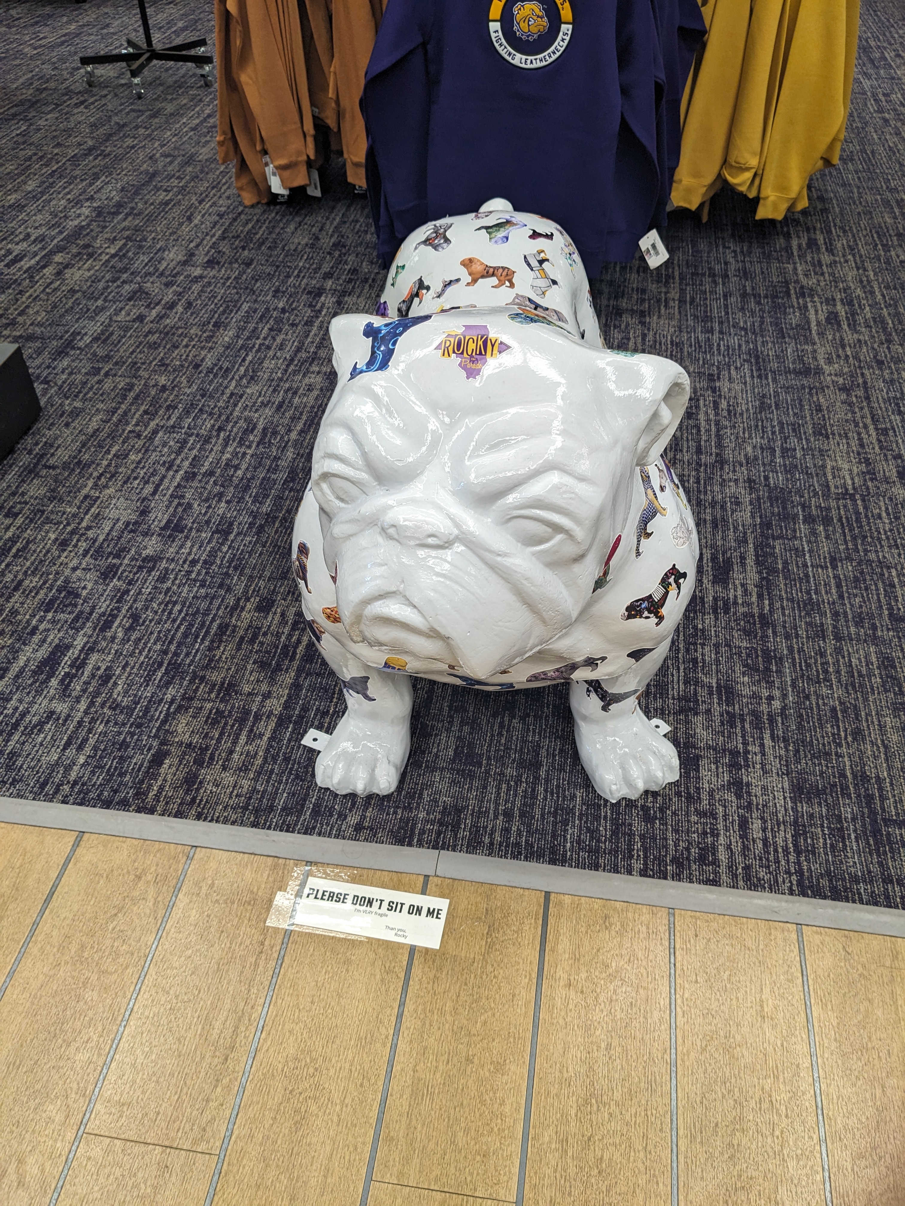 PXL 20241026 191947483