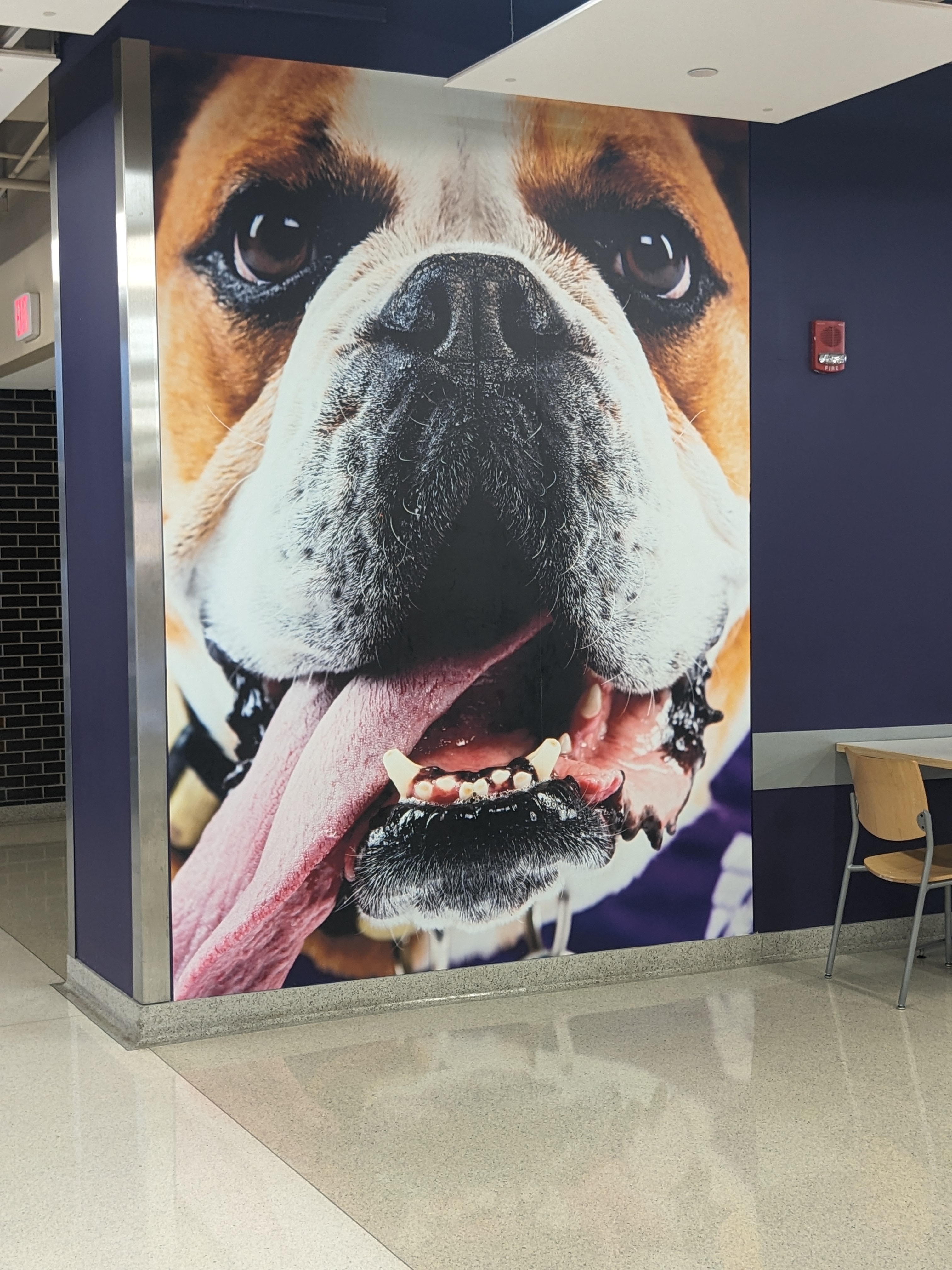 PXL 20241026 193125286