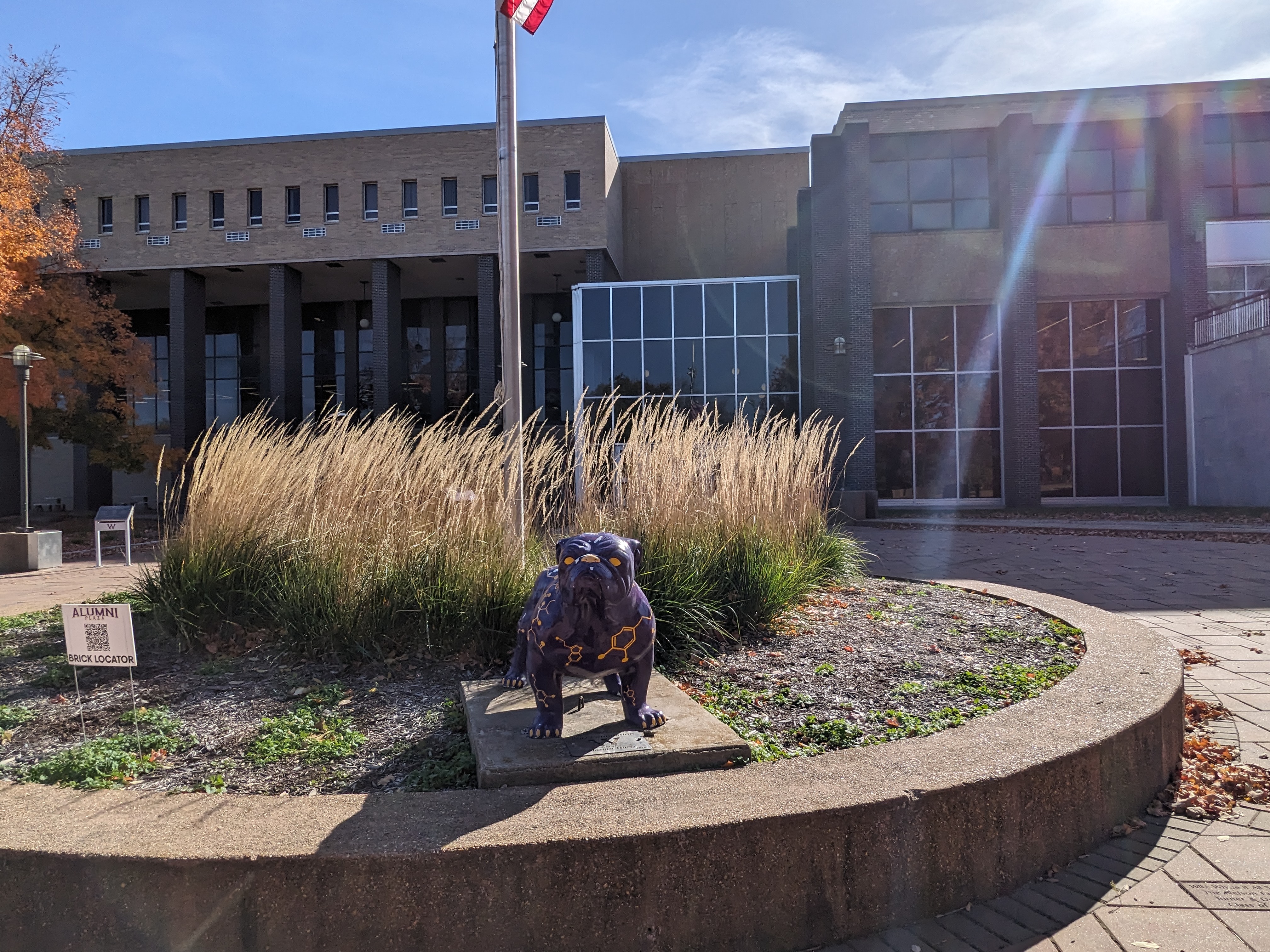 PXL 20241026 193320847