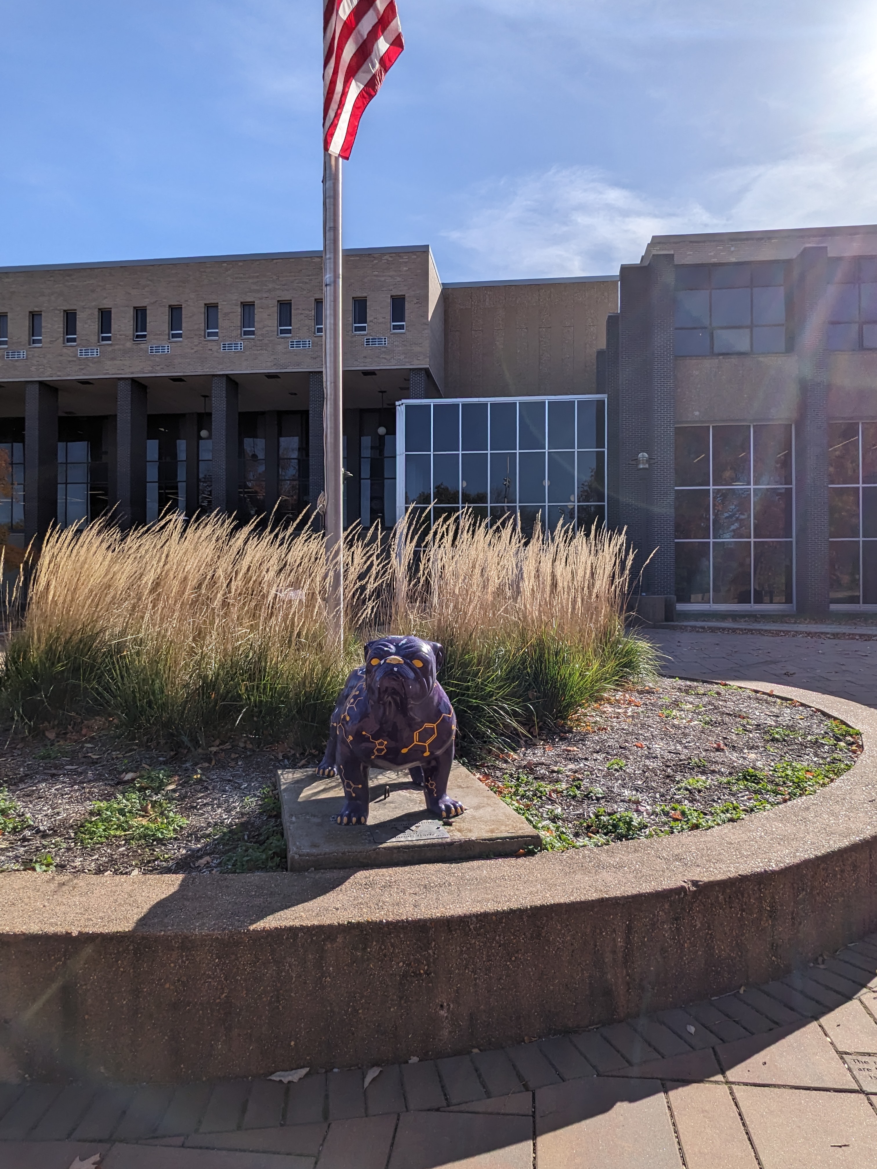 PXL 20241026 193323657