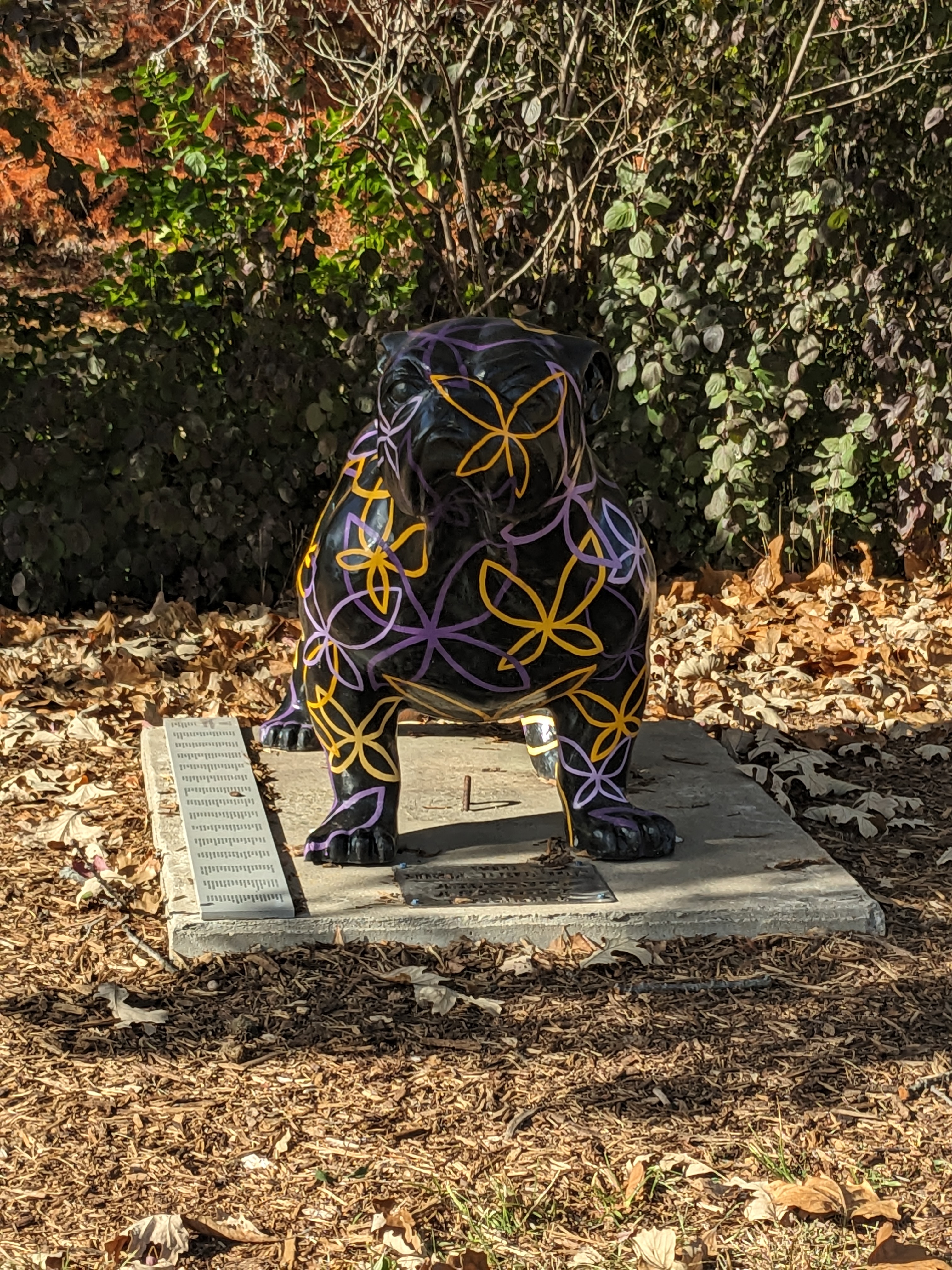 PXL 20241026 194145670