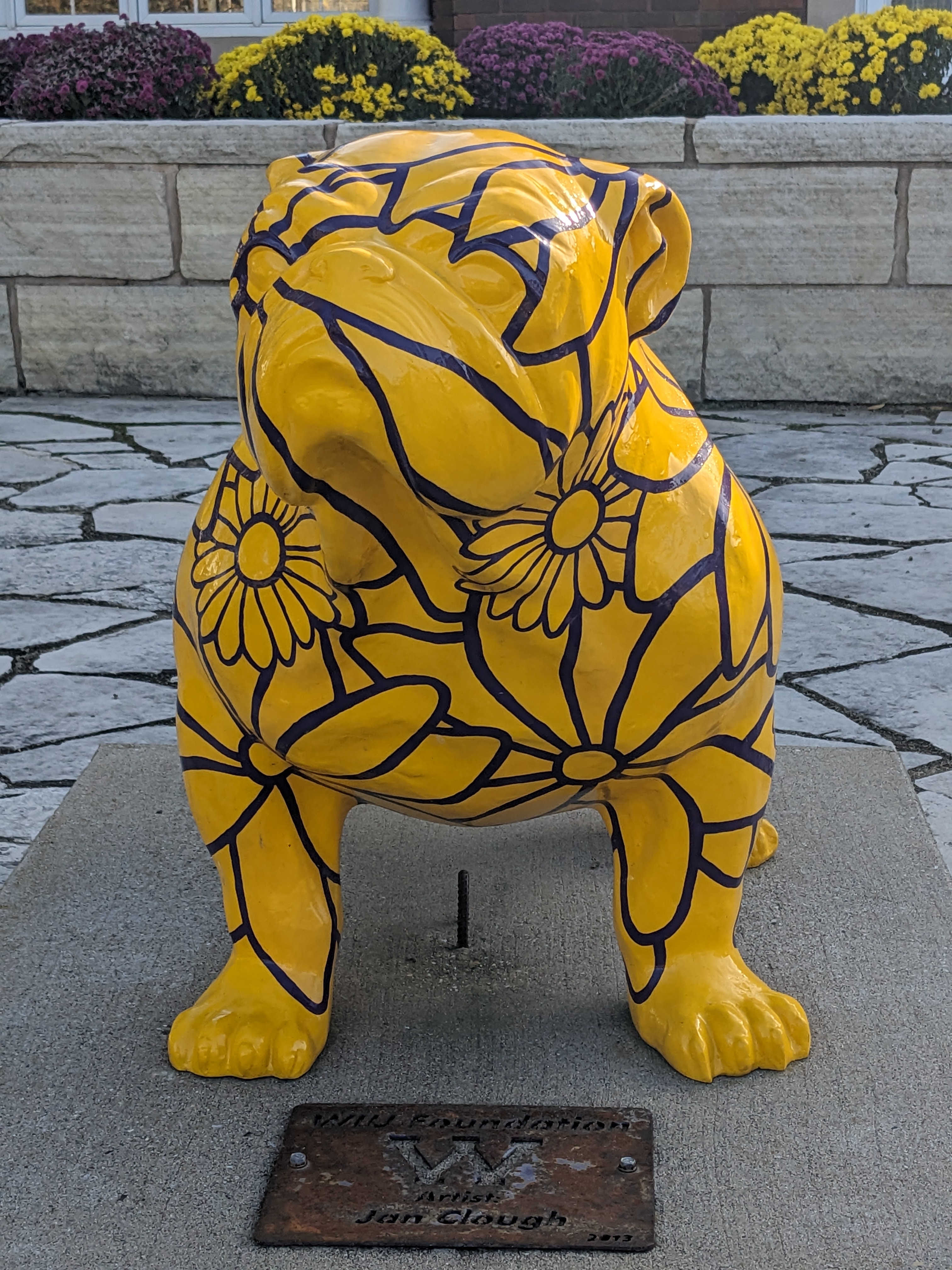 PXL 20241026 195907893