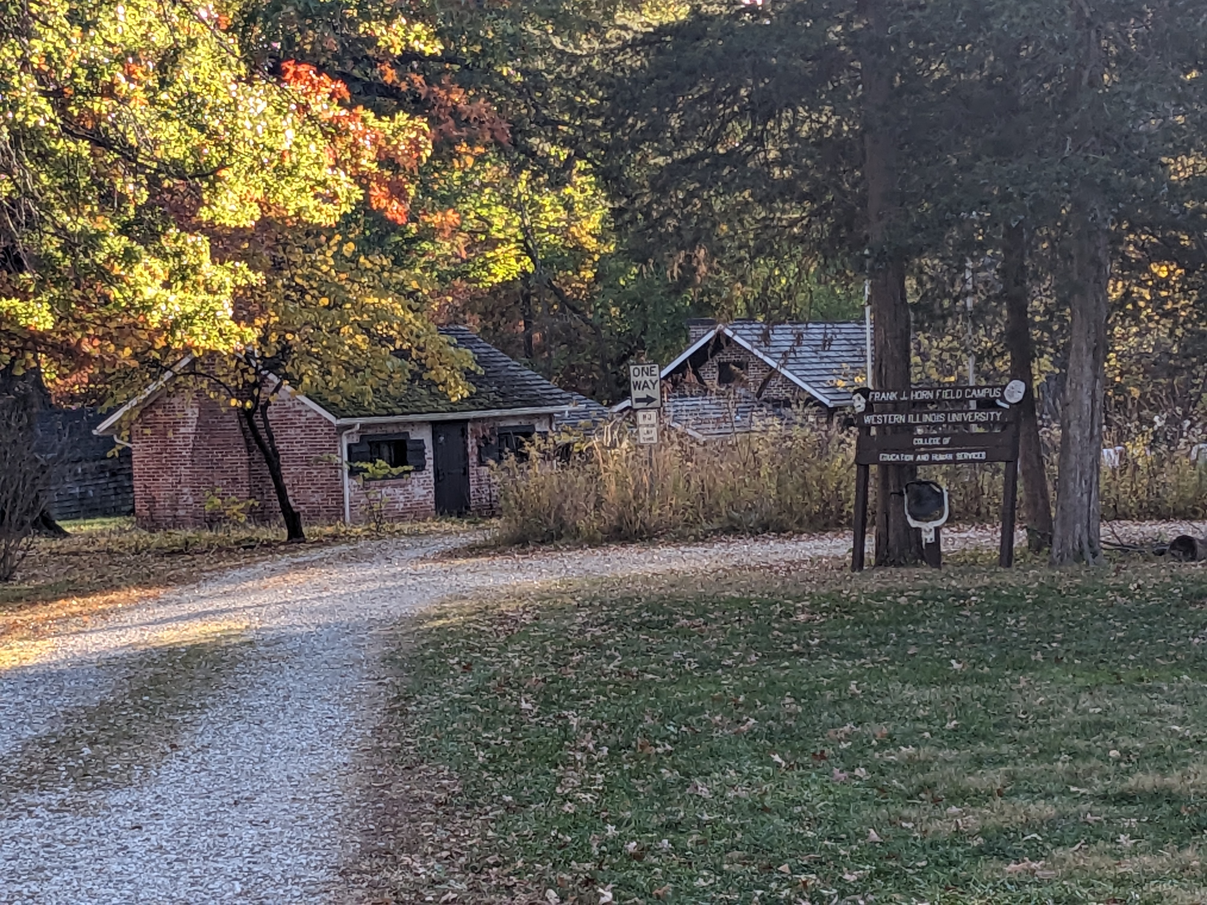 PXL 20241026 215104918