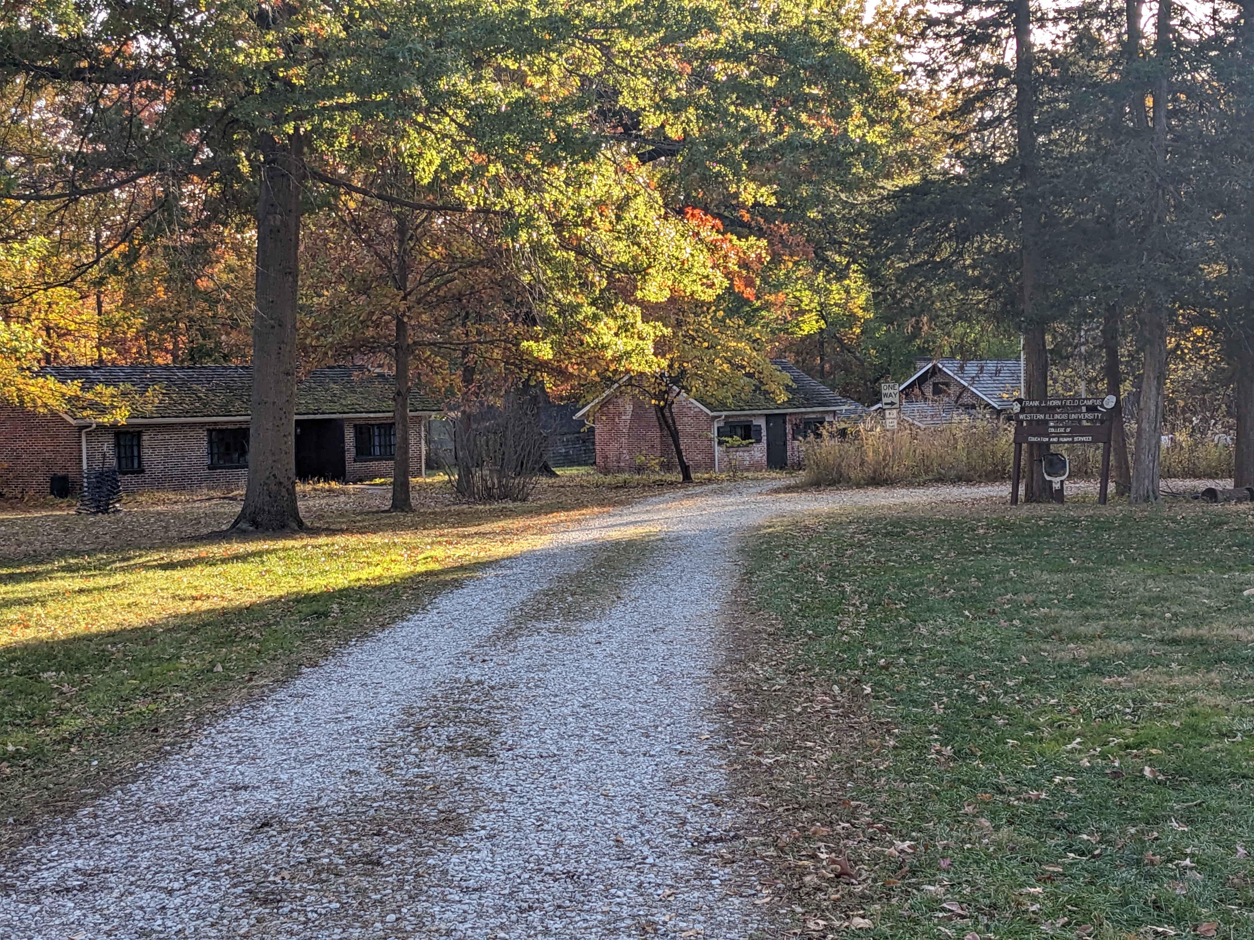 PXL 20241026 215110099